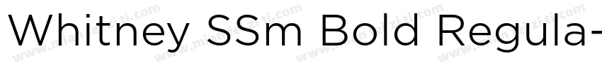 Whitney SSm Bold Regula字体转换